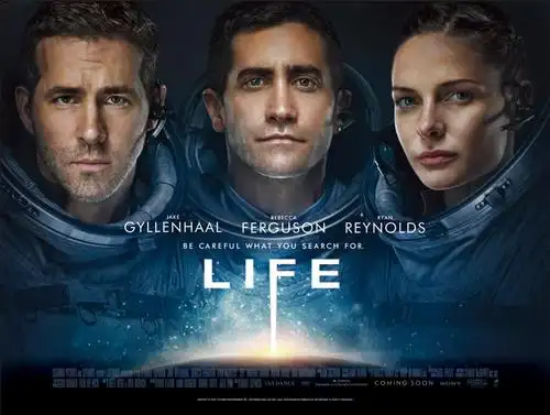 绮梦摄影-孕妈咪纪实录